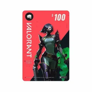 Valorant $100