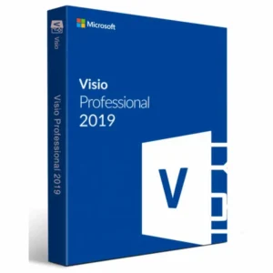 Office Visio 2019 (BIND)