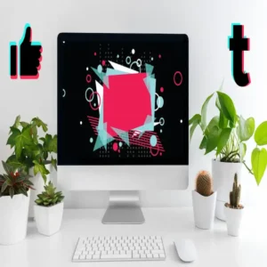 Web Profesional Plus
